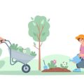 घर की छत या बालकनी में सब्ज़ियों के गमले और बिस्तर तैयार करने की विधि