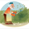 एलोवेरा: भारतीय पारंपरिक औषधि प्रणालियों में इसका महत्व और उपयोग