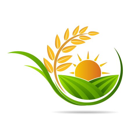 स्पेस के अनुसार पौधों की जगह निर्धारित करना