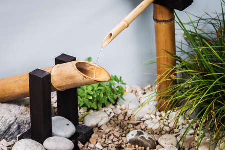 How to Make Bamboo Fencing: Step-by-Step Indian Style Guide