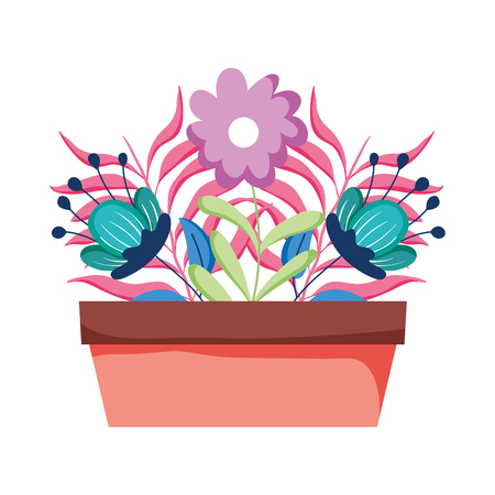 Growing Guide: Key Tips for Planting and Care