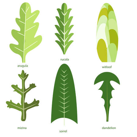 Benefits of Combining Tulsi with Other Ayurvedic Herbs