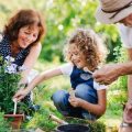 Safe Indoor Plants for Kids and Elderly in India