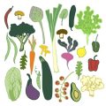 Success Stories of Indian Farmers Using Kitchen Waste Compost