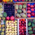 Global Significance of South India’s Horticulture Produce