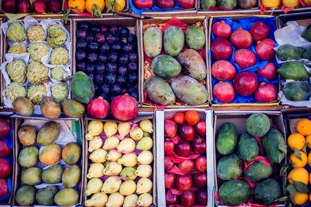 Global Significance of South India’s Horticulture Produce