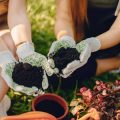Gardening Tips: Safe Herbal Plant Selection for Kids & Elders in India
