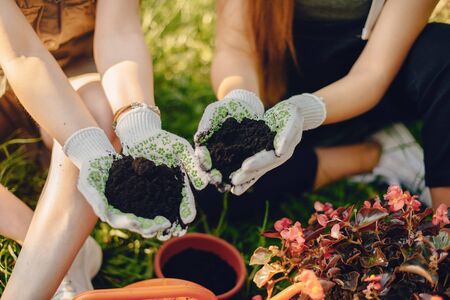 Gardening Tips: Safe Herbal Plant Selection for Kids & Elders in India