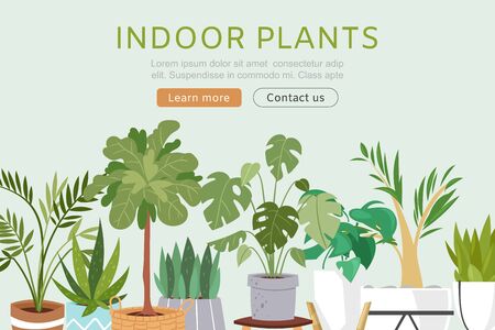 Popular Local Shrubs for Desert Landscaping