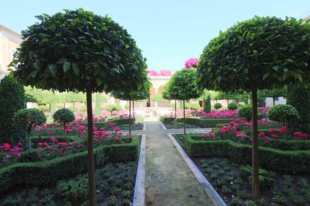 Monsoon Ornamental Plant Care: Common Issues & Desi Solutions in India