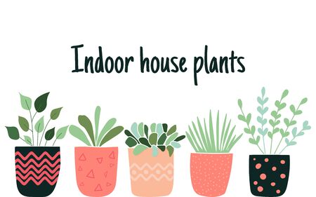 Growing Herbal Magic: Setting Up Your Home Herb Garden