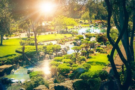 Local Indian Shrubs and Their Role in Desert Landscaping