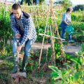 Local Seeds vs MNC Seeds: Benefits & Drawbacks for Indian Farmers