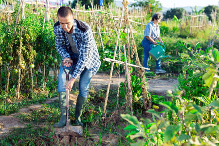 Local Seeds vs MNC Seeds: Benefits & Drawbacks for Indian Farmers