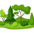 Impact of Government Schemes and Policies on Organic Fertilizers in India