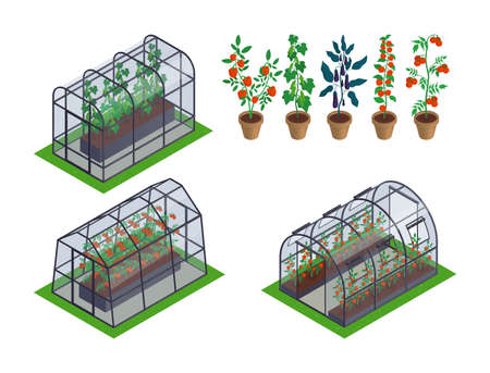 Cost Analysis: Small-Scale Farmers