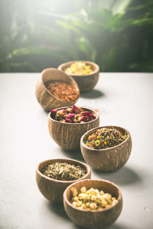 List of Essential Indian Culinary Herbs and Their Cultivation Methods