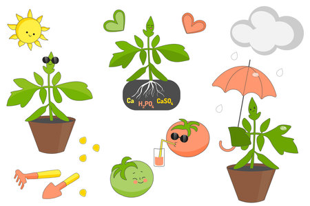 Use biofertilizers for fruit plants – natural growth boost for healthy, tasty fruits