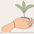 Money Plant: Bring Prosperity & Beauty to Your Home Vastu Way