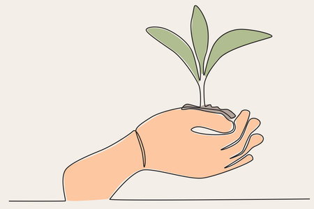 Money Plant: Bring Prosperity & Beauty to Your Home Vastu Way