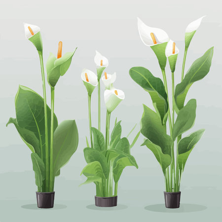 Safe Organic Solutions Commonly Used in India