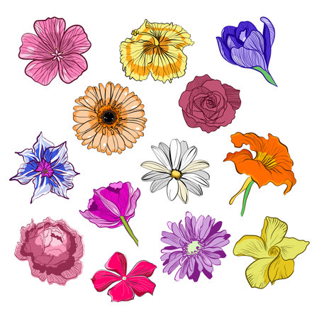 Preparation Methods for Natural Colors from Flowers