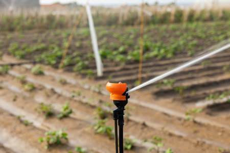 Drip Irrigation Cost Analysis: Small, Medium & Large Indian Farmers Guide