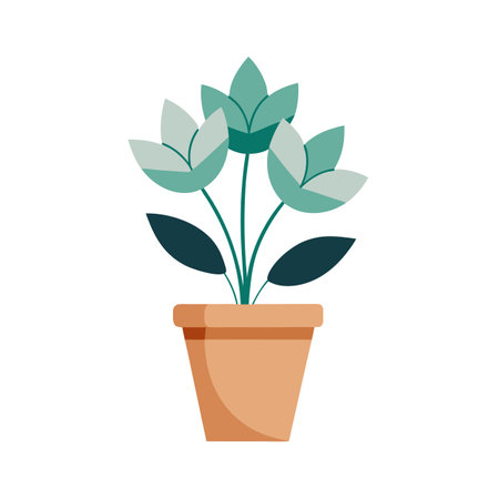Implementation Strategies and Grassroots Impact