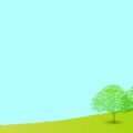 Protecting Lawn Grass from Local Pests and Diseases in India