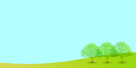 Protecting Lawn Grass from Local Pests and Diseases in India