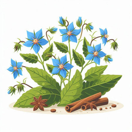 Easy-care seasonal flowers in India & their growing guide