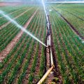 Soil Quality & Drip Irrigation: Best Practices for Indian Farms
