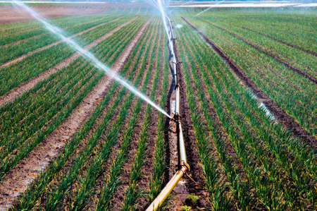 Soil Quality & Drip Irrigation: Best Practices for Indian Farms