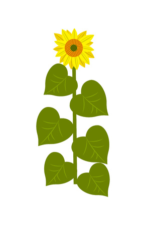 Best Cultural Practices for Healthy Lawns