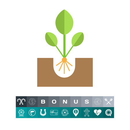 Market Trends Shaping Elderly Gardening in India