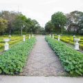 Traditional Indian Stories of Seed Saving Across Generations