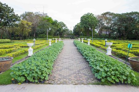 Traditional Indian Stories of Seed Saving Across Generations