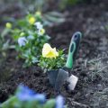 Garden Tools for Elderly in India: Local Market Trends & Key Challenges