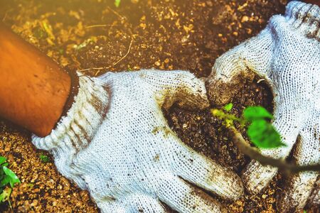 Indian Climate & Local Food Waste: Key Tips for Making Suitable Compost