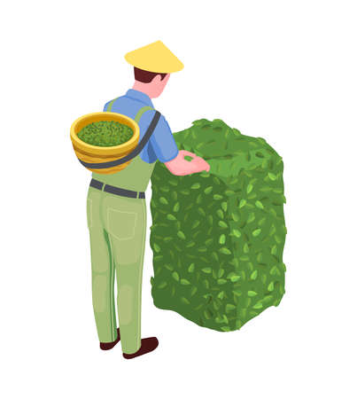 Non-organic Kitchen Waste: Packaging, Plastics & Foils