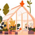 How to Grow a Vibrant Terrace Flower Garden in India