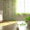 New trends: Decorate home corners with indoor plants for more greenery