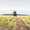 The Future of Indian Organic Farming & Importance of Bio-Pesticides