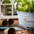 Types of Kitchen Waste in Indian Homes & Their Role in Composting