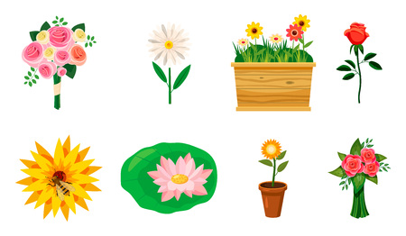 Lotus: The Divine Emblem of Purity and Creation