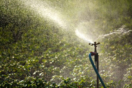 Combining Weather Data & Irrigation: Practical Use Cases for Indian Agriculture