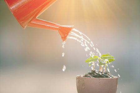Smart Watering Solutions for Urban Gardens in India