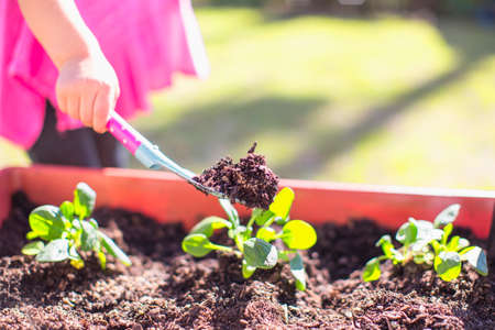 Advanced Horticulture Apps for Crop Monitoring & Record Keeping in India