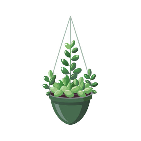 Succulent Plants: Low Maintenance Beautiful Indoor Plants for Indian Homes