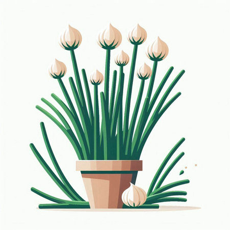 Lotus (Kamal): The Sacred Bloom